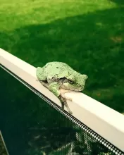 Crystal clear windows by TallBoys